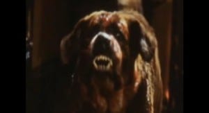 "Cujo" sur Paramount Channel