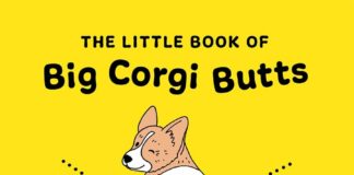 big-corgi-butts-stephen-king-1