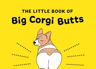 big-corgi-butts-stephen-king-1